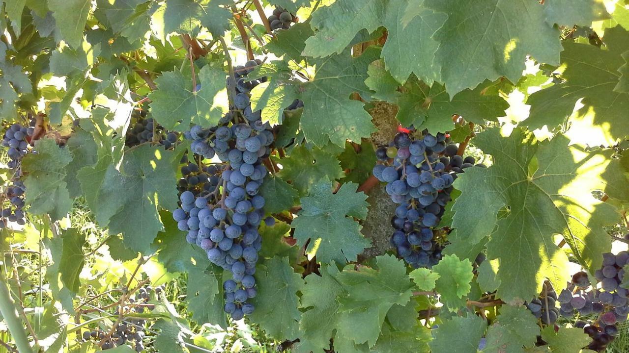 Agriturismo Le Giarine Fogliano Redipuglia Luaran gambar