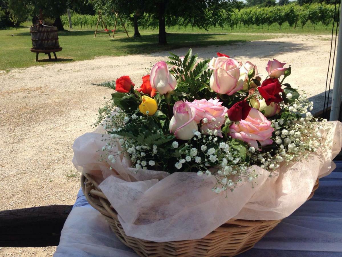 Agriturismo Le Giarine Fogliano Redipuglia Luaran gambar