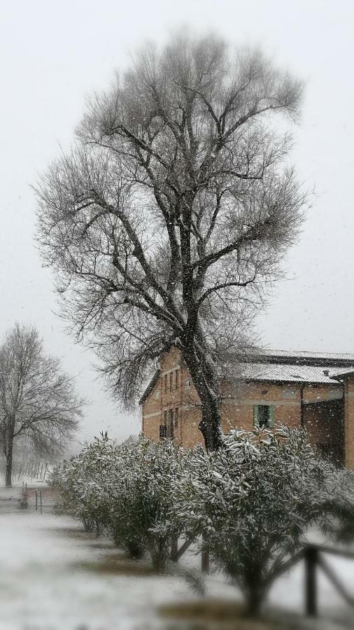 Agriturismo Le Giarine Fogliano Redipuglia Luaran gambar